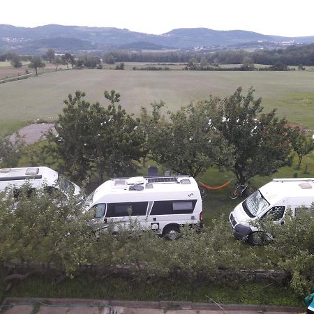 Ferienwohnung Turisticna Kmetija Pri Rebkovih Ajdovščina Exterior foto