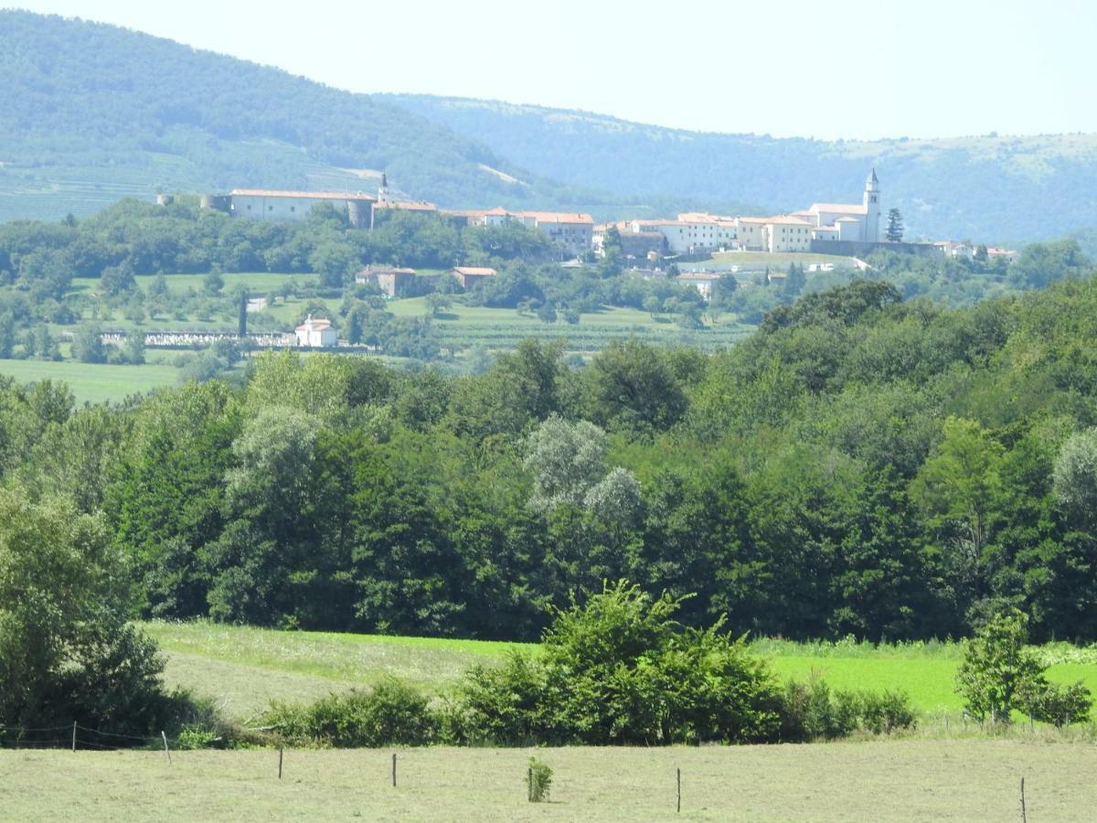 Ferienwohnung Turisticna Kmetija Pri Rebkovih Ajdovščina Exterior foto